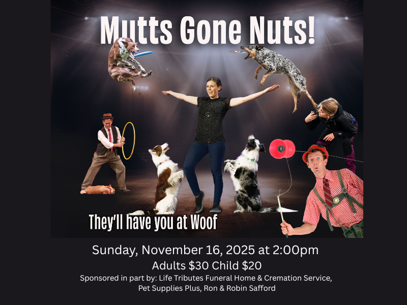 Mutts Gone Nuts!